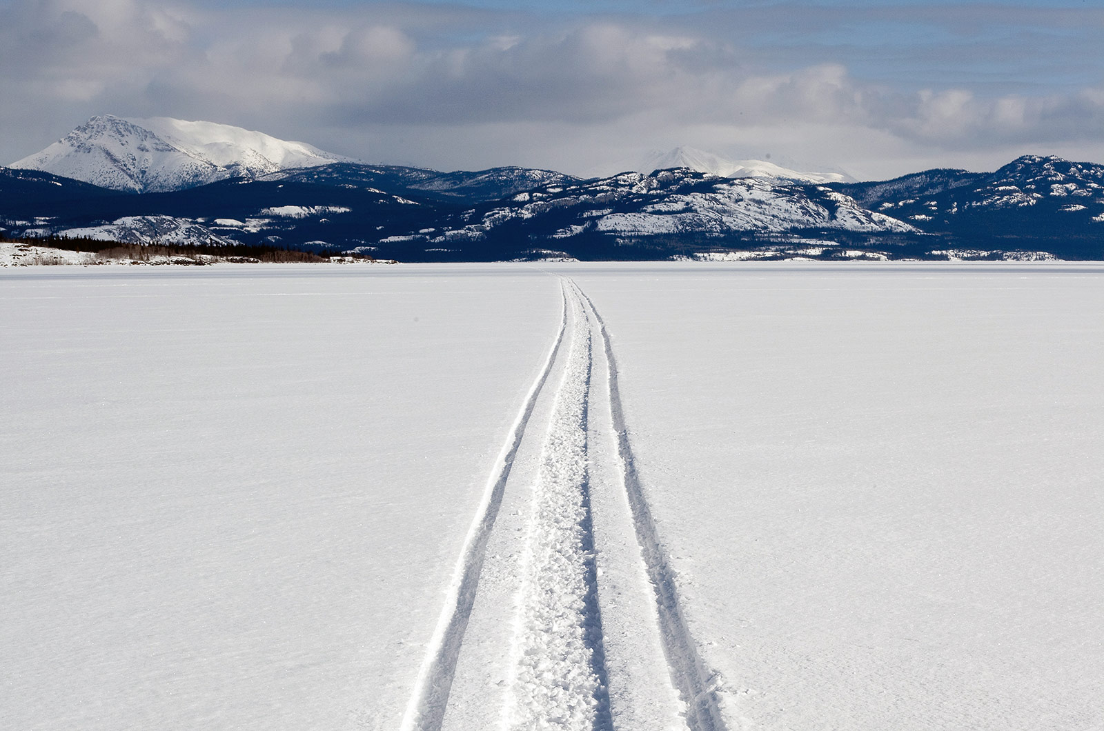 Snowmobile tracks in the Arctic.